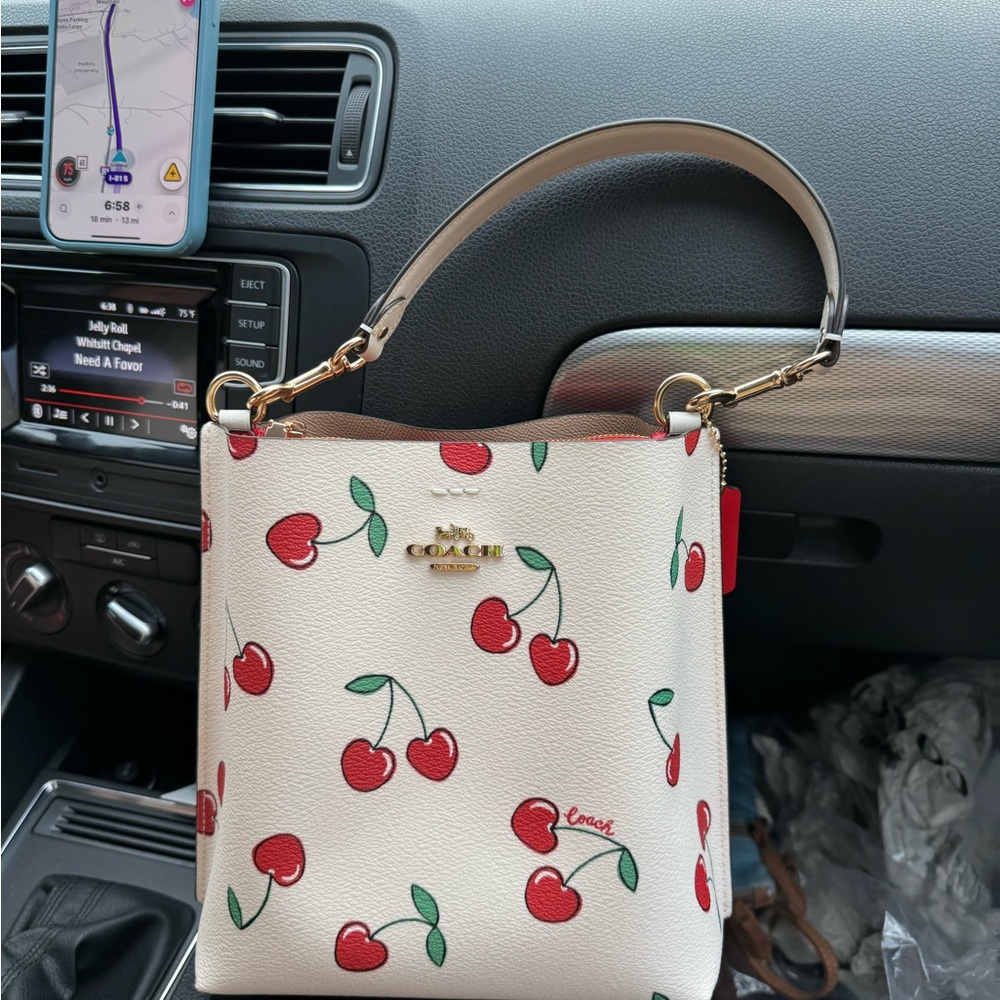 Coach Mollie Bucket Bag